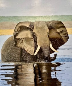 ONE TAUCK ELEPHANT</br></br>
72”Wx84”H