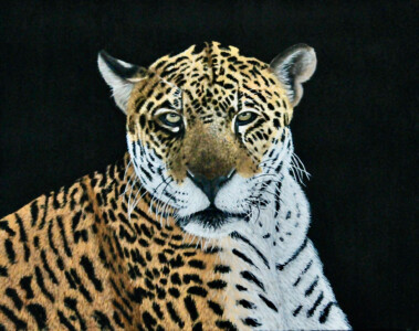 PAT'S LEOPARD</br></br>
24”Wx20”H