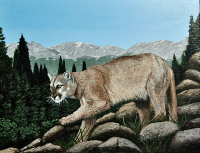 THERE! THERE IT IS AGAIN!</br></br>
30”Wx24”H